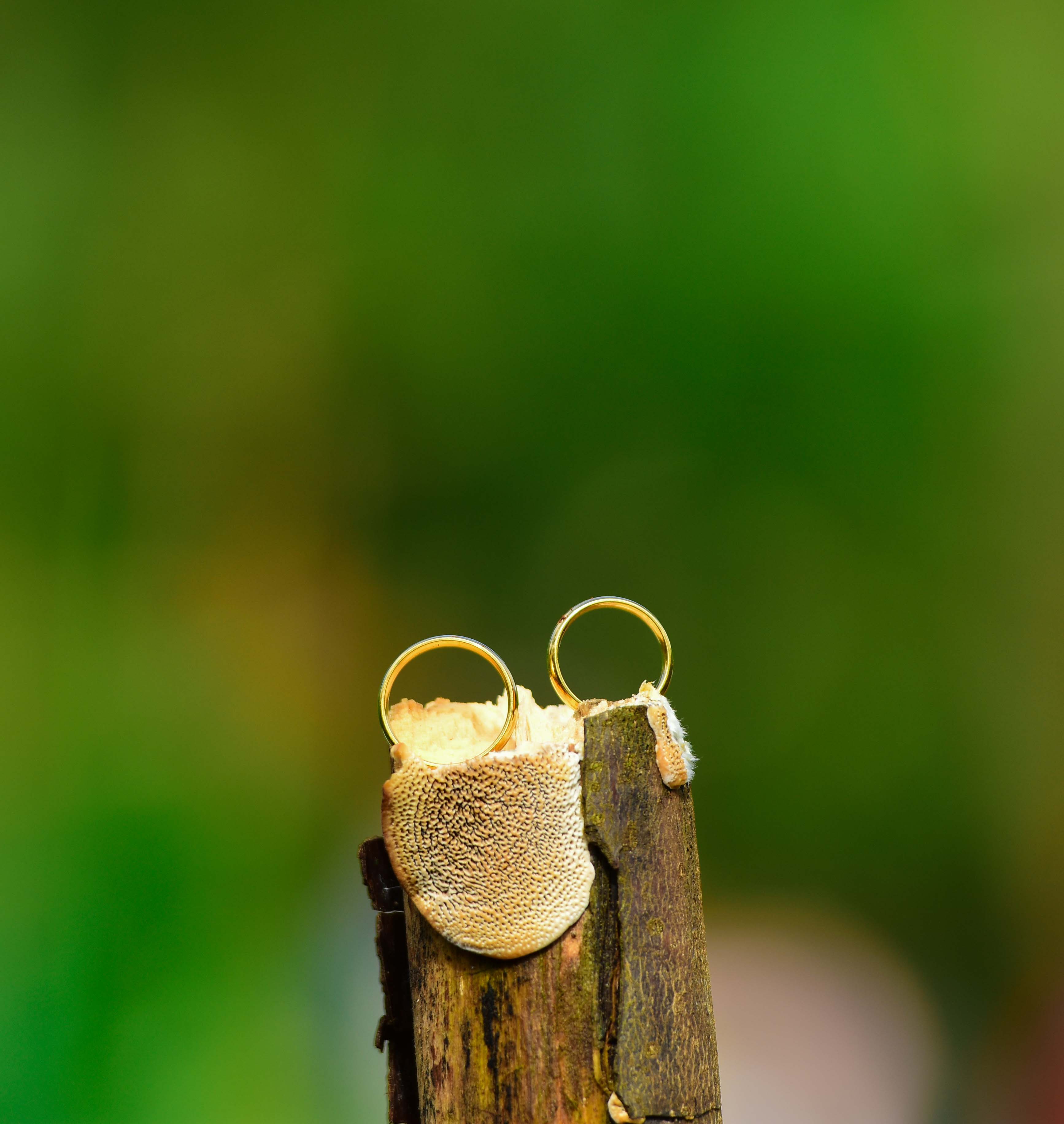 Wedding cake cutting ceremony